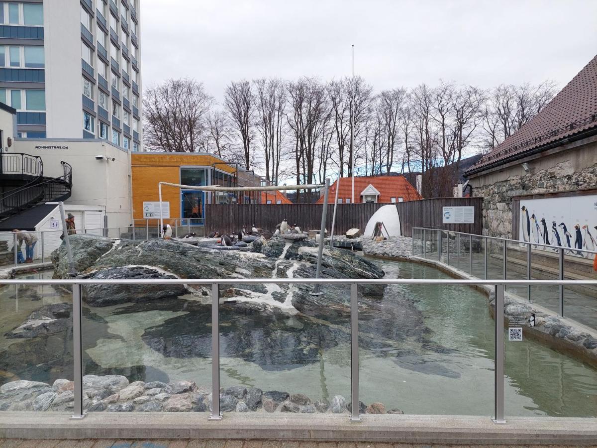 Bergen City Center Apartment 외부 사진