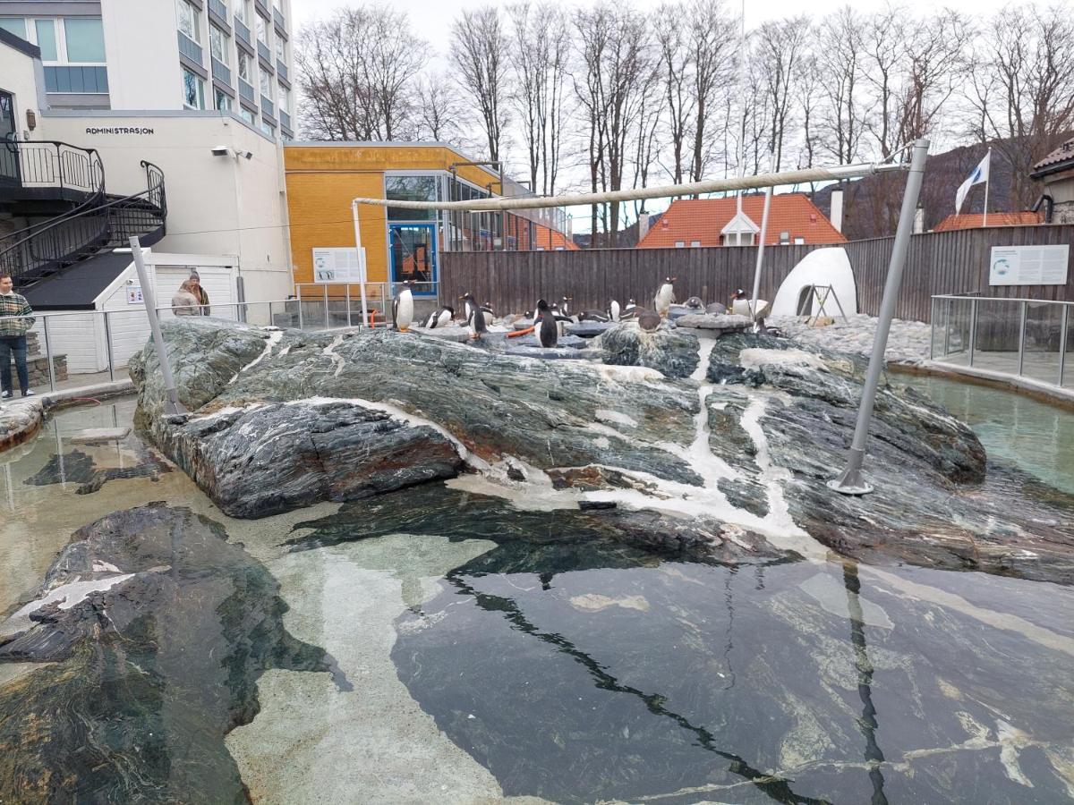 Bergen City Center Apartment 외부 사진